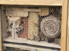 Foto zu Meldung: Insektenhotel: Abschlussbericht