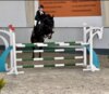 Vorschaubild der Meldung: Start der Reiterinnen