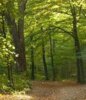 Meldung: Verschwundene Holzpolder im Bereich Salzleck (Funkturm)