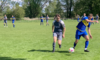Meldung: Fußball am Wochenende