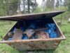 Meldung: „Clean up the forest – Gemeinsame Abfallsammelaktion mit dem Förster“
