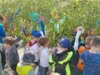 Vorschaubild der Meldung: Der Perleberger Maibaum steht – Kita-Kinder schmücken 13 Meter hohe Birke