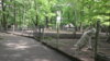Meldung: Baumpflegemaßnahmen am Tiergehege im Schlosspark Lauchhammer