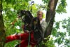 Meldung: Seeadler-Nachwuchs in den Fröruper Bergen