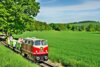 Meldung: Sonderfahrten der Wipperliese unter dem Motto „ADIOS KINDERGARTEN“