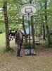 Meldung: Basketballkorb auf dem Waldplatz