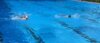 Meldung: Schul-Schwimmwettkampf in Schafflund