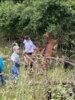 Meldung: Ausflug zum Ziegenhof der Klasse 2a