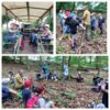 Meldung: Waldtag der Klasse 3