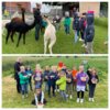 Meldung: Ausflug zum Bauernhof der Klasse 2c
