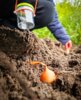 Meldung: Besuche im Schulgarten
