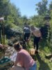 Meldung: Arbeit am Teich