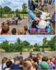 Meldung: Beringung der Störche an der Astrid-Lindgren-Grundschule