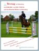 Vorschaubild der Meldung: der kurmärkische Reitverein