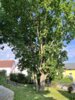 Meldung: Besuch der Partnergemeinde Neppermin-Balm 2024