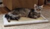 Meldung: Loui und Missy