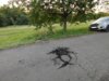 Vorschaubild der Meldung: Zerstörungen auf einem Feldweg bei Erfweiler-Ehlingen!