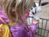 Meldung: Schulausflug in den Rostocker Zoo