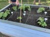 Vorschaubild der Meldung: Increase - Wissenschaft mit Kindern