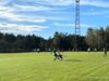 Vorschaubild der Meldung: Wochenende ohne Punktverluste