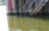 Meldung: Aktuell niedrige Wasserstände