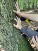 Vorschaubild der Meldung: Abenteuer Wald
