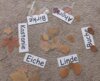 Meldung: Wandertag der zweiten Klassen
