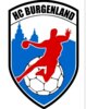 Meldung: Mit Rückenwind ins Heimspiel - HC Burgenland empfängt nach 2 Auswärtssiegen SC DHfK Leipzig II