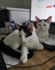 Meldung: Jacky und Kenji