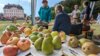 Meldung: Streuobstmesse - ein Erfolg trotz Ernteausfalls