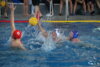 Meldung: Wasserball Neisse-Cup in Görlitz