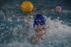 Meldung: Wasserball Oberliga 1. Spieltag