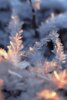 Vorschaubild der Meldung: Auf den Friedhöfen wird während der Frostperiode das Leitungswasser abgestellt