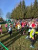 Meldung: Herbstcrosslauf in Großwaltersdorf am 03.11.2024