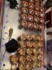 Meldung: Hexen, Zombies und Geister: Spuktober am Fritz-Greve-Gymnasium!
