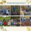 Meldung: Walderlebnistage der 5. Klassen: Ein Tag voller Abenteuer im Wald