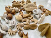 Veranstaltung: Ausstellung von Ilka Raupach &quot;Wundergarten&quot; - Blossfeldt 160 Fr 13. 06. 2025