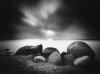Veranstaltung: Vernissage Volkmar Herre:  NATUR, Fotografien aus sechs Jahrzehnten Fr 04. 07. 2025