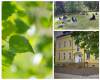 Veranstaltung: AUSBILDUNG: Wald-Gesundheitstrainer/in - Ganz in Deiner Nähe!