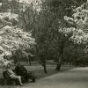 Lietzenseepark, angelegt 1919-20 von Erwin Barth, fotografiert 1934 von Jürgen Barth. (Foto: LDA Berlin, Archiv Gartendenkmalpflege)