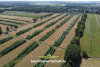 Veranstaltung: Klimalandschaft Brandenburg – mit Agroforst vom Heizkraftwerk zur Wolkenfabrik So 20.07.2025