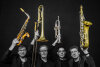 Fun Horns