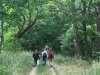 Veranstaltung: Beschauliches Wandern: Nordufer des M&uuml;ggelsees Sa 26.​09.​2026